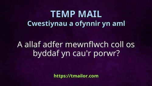 A allaf adfer mewnflwch coll os byddaf yn caur porwr