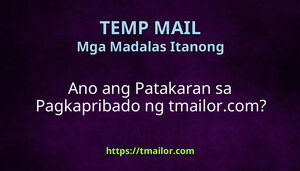 Ano ang Patakaran sa Pagkapribado ng tmailorcom