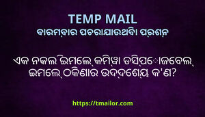 ଏକ ନକଲ ଇମଲ କମୱ ଡସପଜବଲ ଇମଲ ଠକଣର ଉଦଦଶୟ କଣ
