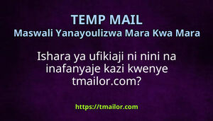 Ishara ya ufikiaji ni nini na inafanyaje kazi kwenye tmailorcom